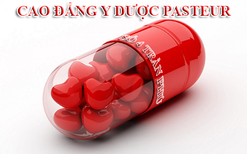 Cao đẳng Dược Pasteur đào tạo Văn bằng 2 Cao đẳng Dược