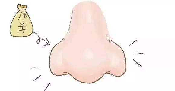 Loại 4: Hai cánh mũi đầy đặn phồng to thì cả đời không lo thiếu tiền