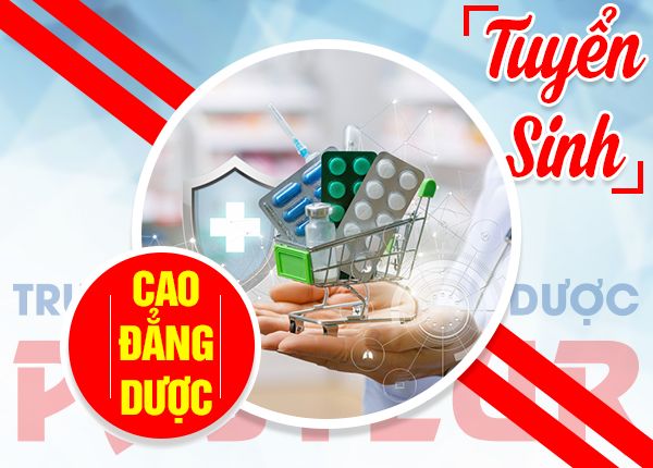 Tấm bằng Cao đẳng Dược liệu có ảnh hưởng đến quá trình xin việc?