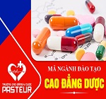Mã trường, mã ngành Cao đẳng Dược năm 2020 là gì?