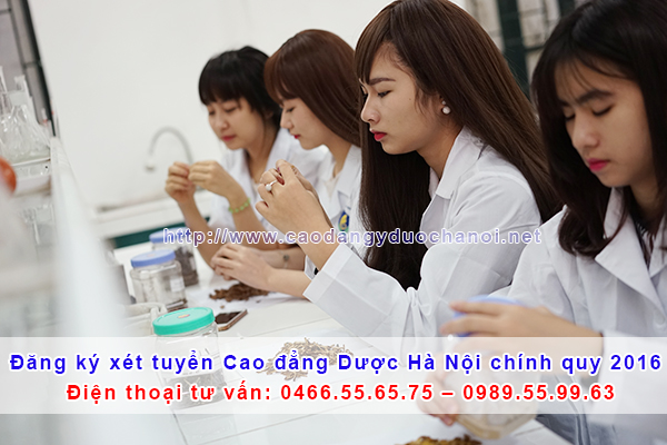 Đánh giá chất lượng của trường cao đẳng dược theo tiêu chuẩn nào?