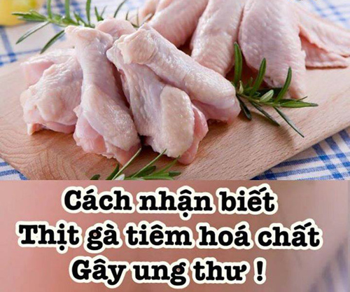 Dược sỹ hướng dẫn cách nhận biết thịt gà có bơm hóa chất gây ung thư