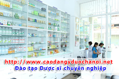 Dược sĩ mới ra trường nên theo đuổi con đường nào ?