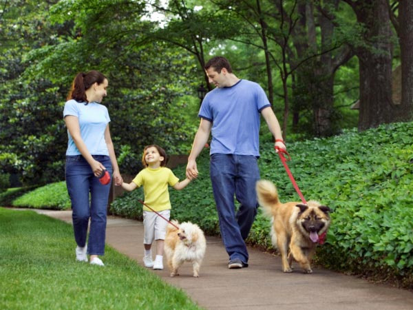 Đi bộ và những lợi ích bất ngờ