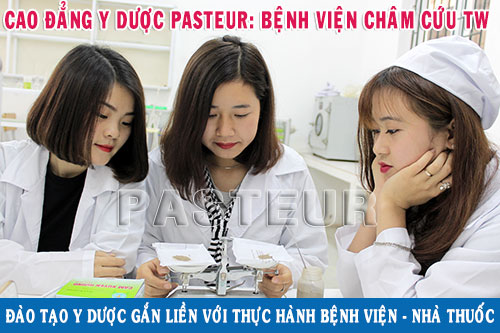 Học liên thông Cao đẳng Dược giúp bạn rút ngắn thời gian thành công