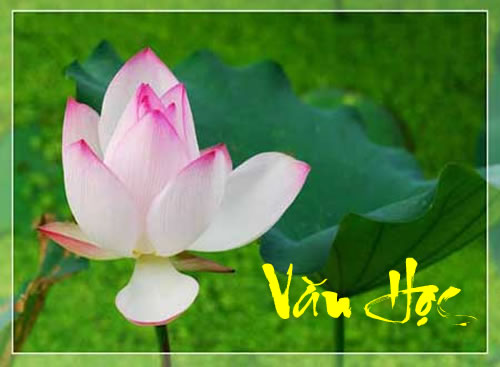 Kỹ năng tóm tắt tác phẩm văn xuôi dành cho thí sinh thi THPT Quốc gia