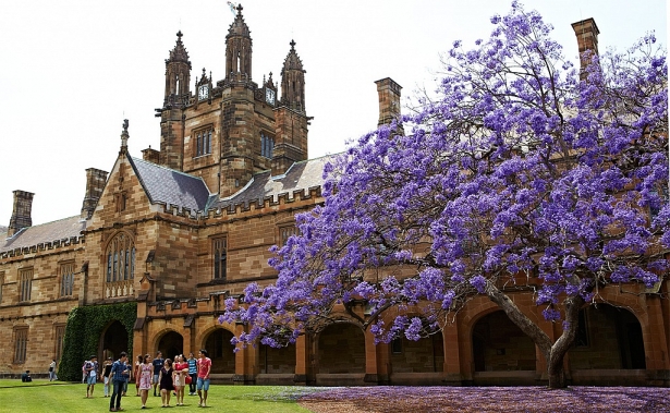 ĐH Sydney tuyển thẳng học sinh của các trường THPT ở Việt Nam