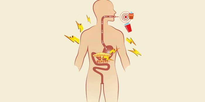 Protein và vai trò đối với cơ thể bạn!