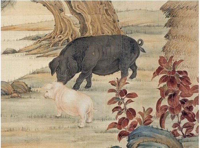 Tuổi Hợi “khổ tận cam lai”