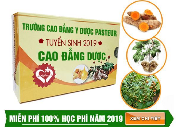 Thí sinh trúng tuyển Cao đẳng Dược sẽ học những gì?