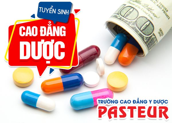 Hỗ trợ việc làm cho sinh viên tốt nghiệp Cao đẳng Dược chính quy