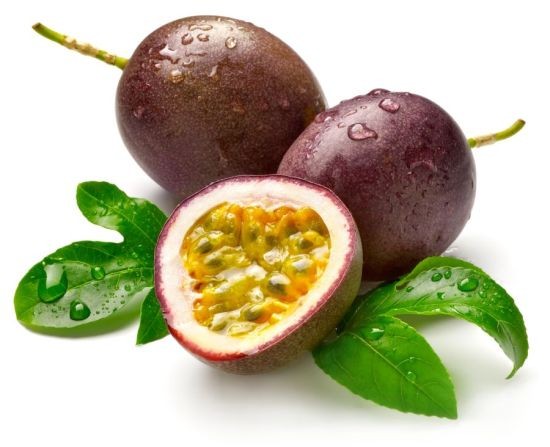 cao đẳng dược Hà Nội