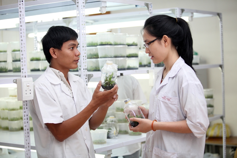 Phương án tuyển sinh Đại học Y Dược – Đại học Huế năm 2017