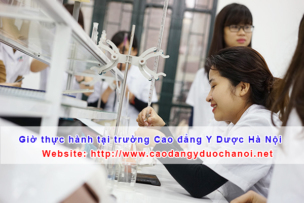 gio-thuc-hanh-duoc