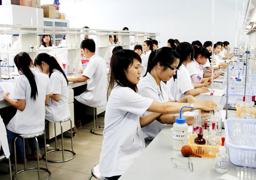 Ngành Dược sĩ thi khối A hay B, ngành dược sĩ thi khối nào