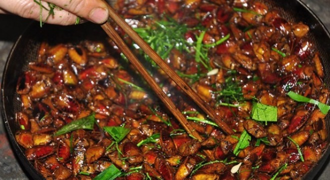 cao dang y duoc ha noi