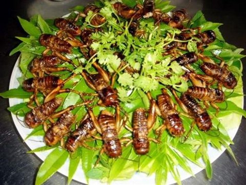 cao dang y duoc ha noi