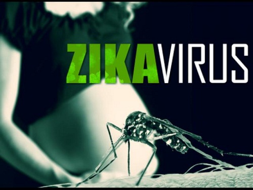 virut-zika-tai-viet-nam